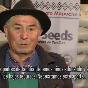 COOPERATIVAS MAPUCHE RECIBEN SIGNIFICATIVO APOYO DE CORFO