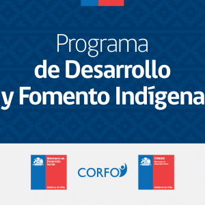 PROGRAMA DE DESARROLLO Y FOMENTO INDÍGENA