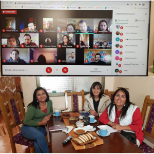 PROGRAMAS COMPLEMENTARIOS DE APOYO AL FORTALECIMIENTO DEL EMPRENDIMIENTO INDÍGENA, PROMOVIDOS POR EL COMITÉ INDÍGENA