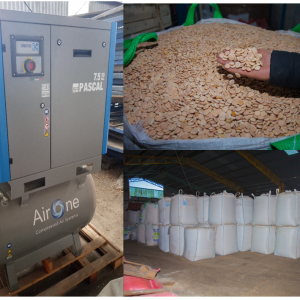 CASO DE ÉXITO – COOPERATIVA AGRÍCOLA WULL AGRO