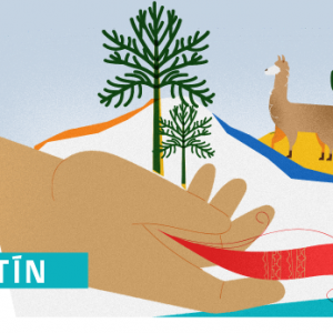 BOLETÍN COMITÉ DE DESARROLLO Y FOMENTO INDÍGENA