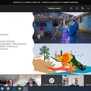 EL CONSEJO DIRECTIVO DEL COMITÉ DE DESARROLLO Y FOMENTO INDÍGENA DE CORFO APRUEBA TODOS LOS PROYECTOS PRESENTADOS