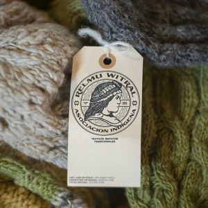 Celebramos día internacional de los pueblos indígenas junto a la Asociación RELMU WITRAL Y ADEPO