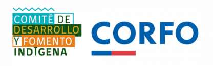 Comité de Desarrollo y Fomento Indígena